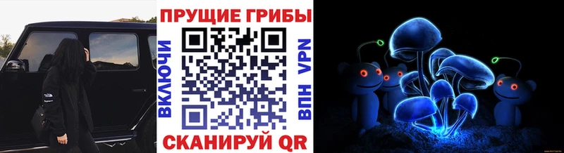 Псилоцибиновые грибы Magic Shrooms Мамоново
